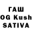 MDMA Molly Shagsamovich Qwer