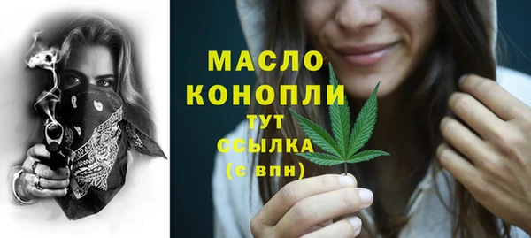 МДПВ Богородск