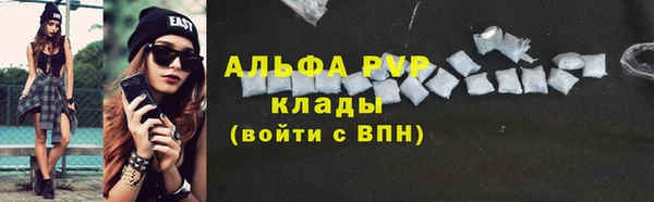 spice Бородино
