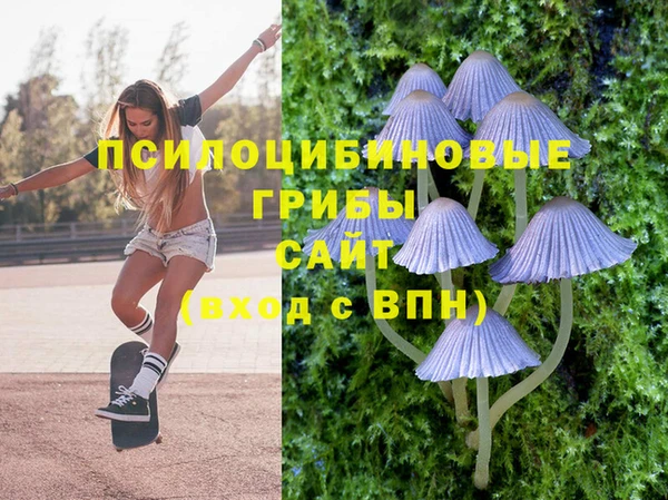 дживик Бугульма