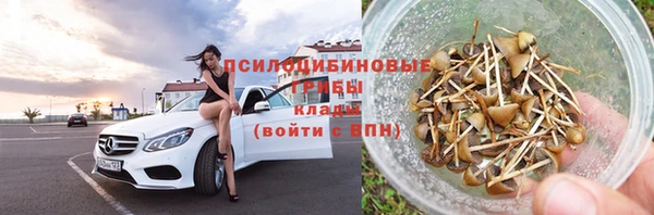 spice Бородино