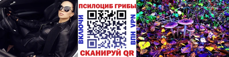 Псилоцибиновые грибы мицелий  Княгинино 